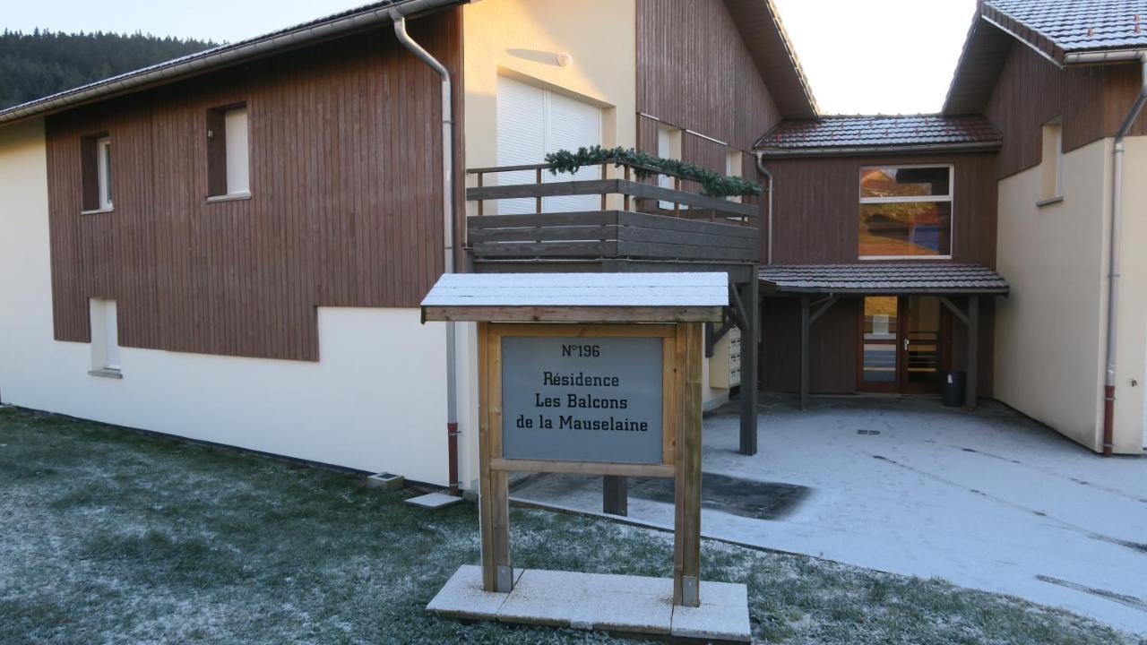 Apartment Location Les Balcons De La Mauselaine Gérardmer Esterno foto